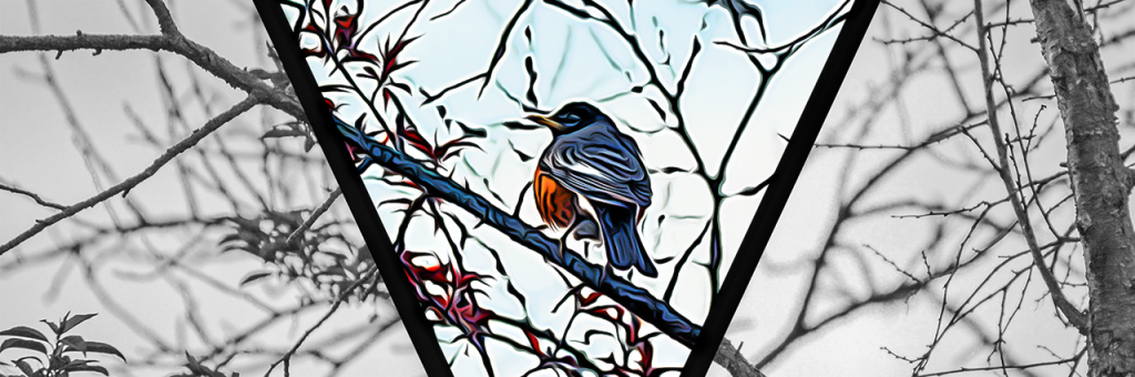 Inside a bold V shape, a bird sits on a thin branch. It appears to be painted with delicate strokes of blue and orange among a few raspberry-colored leaves. Outside the V, the image in black and white, the branches and leaves cold and muted.